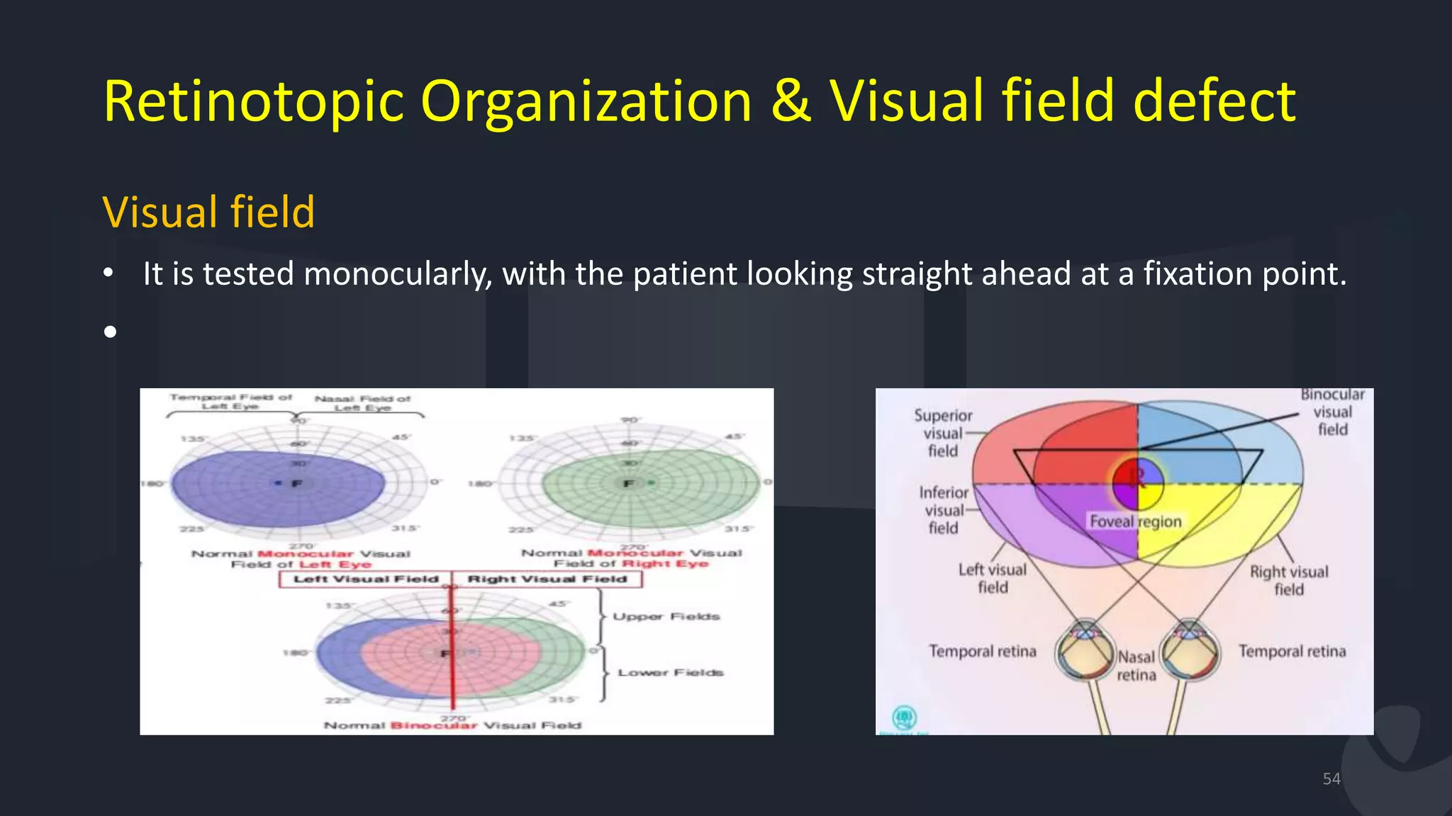Retinotopic Organization & Visual field defect
Visual field
• It is tested monocularly, with the patient looking straight ahead at a fixation point.
•
54
 