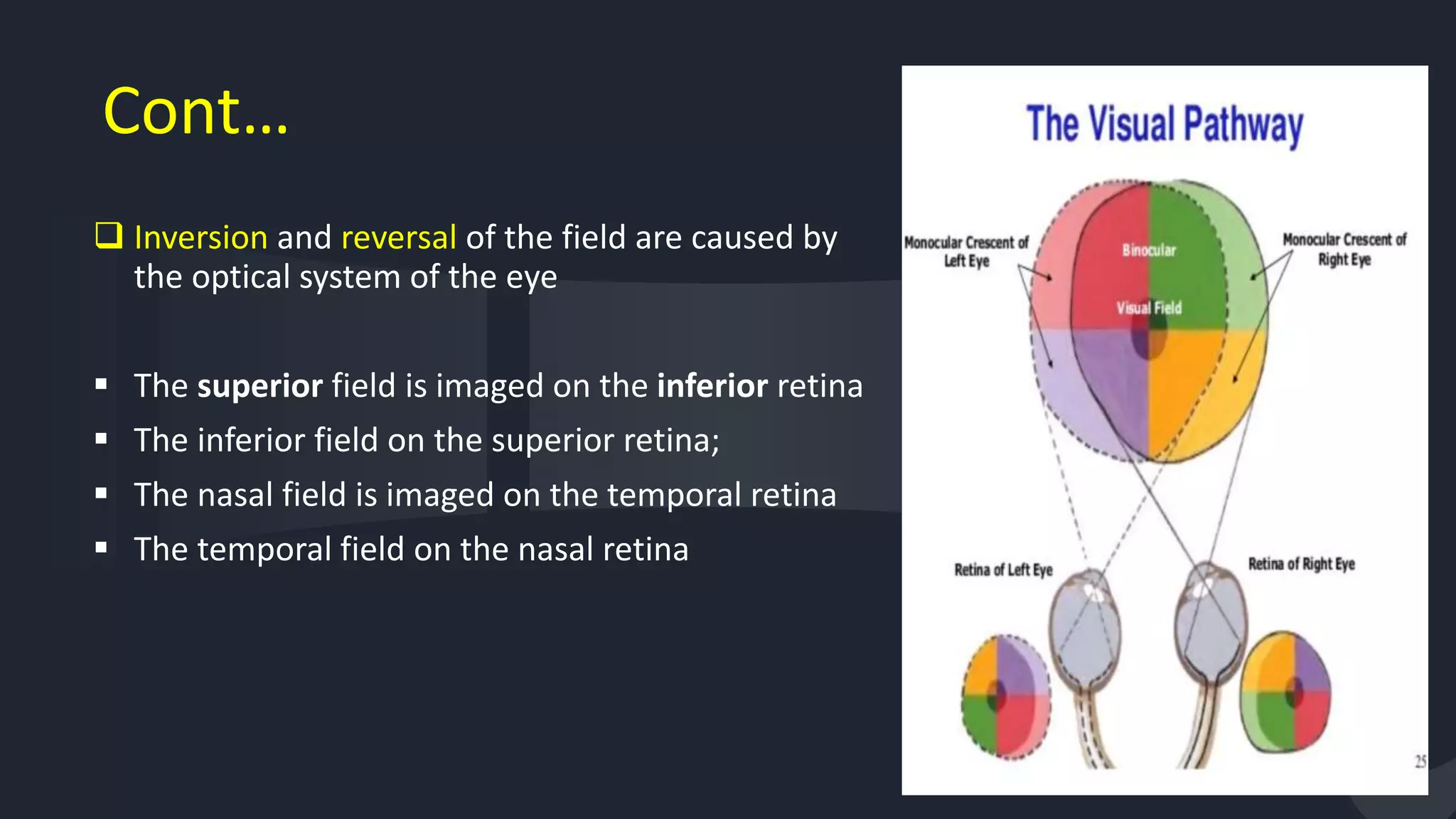 Cont…
 Inversion and reversal of the field are caused by
the optical system of the eye
 The superior field is imaged on the inferior retina
 The inferior field on the superior retina;
 The nasal field is imaged on the temporal retina
 The temporal field on the nasal retina
55
 