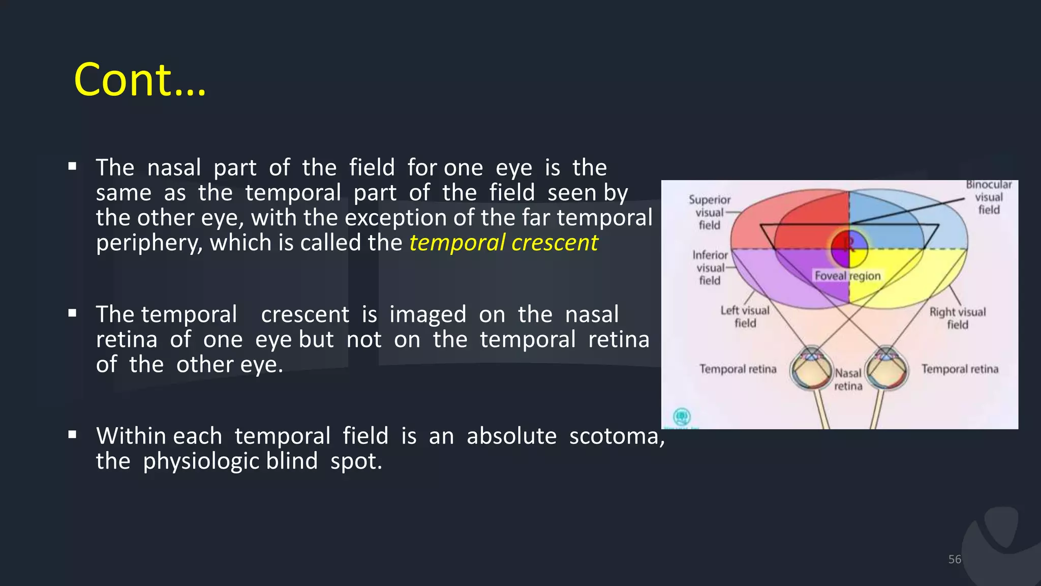 Cont…
 The nasal part of the field for one eye is the
same as the temporal part of the field seen by
the other eye, with the exception of the far temporal
periphery, which is called the temporal crescent
 The temporal crescent is imaged on the nasal
retina of one eye but not on the temporal retina
of the other eye.
 Within each temporal field is an absolute scotoma,
the physiologic blind spot.
56
 
