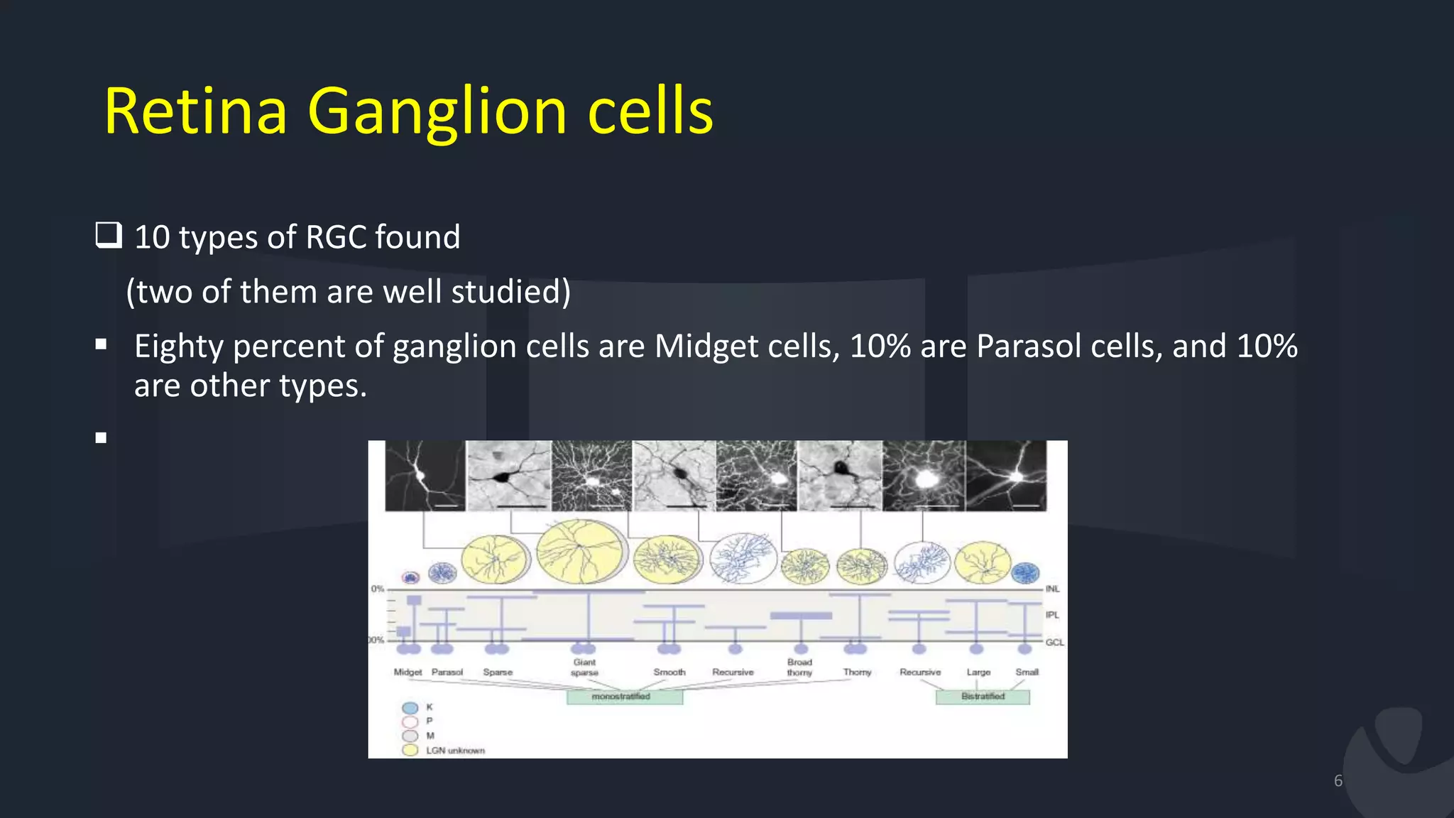 Retina Ganglion cells
 10 types of RGC found
(two of them are well studied)
 Eighty percent of ganglion cells are Midget cells, 10% are Parasol cells, and 10%
are other types.

6
 