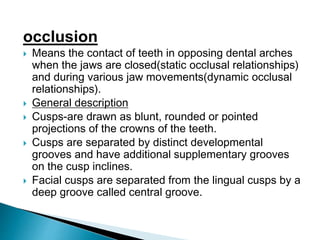 occlusion
 Means the contact of teeth in opposing dental arches
when the jaws are closed(static occlusal relationships)
and during various jaw movements(dynamic occlusal
relationships).
 General description
 Cusps-are drawn as blunt, rounded or pointed
projections of the crowns of the teeth.
 Cusps are separated by distinct developmental
grooves and have additional supplementary grooves
on the cusp inclines.
 Facial cusps are separated from the lingual cusps by a
deep groove called central groove.
 