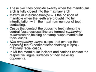  These two lines coincide exactly when the mandibular
arch is fully closed into the maxillary arch
 Maximum intercuspation(MI)- is the position of
mandible when the teeth are brought into full
interdigitation with the maximum number of teeth
contacting.
 Cusps that contact the opposing teeth along the
central fossa occlusal line are termed supporting
cusps.(centric,holding or stamp cusps-mandibular
facial cusps.
 Non-supporting cusps-cusps that overlap the
opposing teeth (noncentric/nonholding cusps).-
maxillary facial cusps.
 In MI the mandibular incisors and canines contact the
respective lingual surfaces of their maxillary
opponents.
 