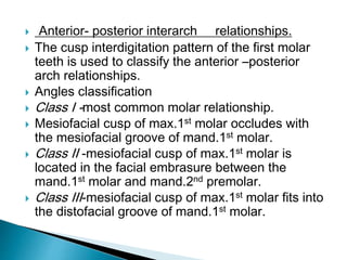  Anterior- posterior interarch relationships.
 The cusp interdigitation pattern of the first molar
teeth is used to classify the anterior –posterior
arch relationships.
 Angles classification
 Class I -most common molar relationship.
 Mesiofacial cusp of max.1st molar occludes with
the mesiofacial groove of mand.1st molar.
 Class II -mesiofacial cusp of max.1st molar is
located in the facial embrasure between the
mand.1st molar and mand.2nd premolar.
 Class III-mesiofacial cusp of max.1st molar fits into
the distofacial groove of mand.1st molar.
 