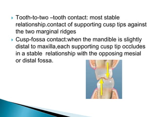  Tooth-to-two –tooth contact: most stable
relationship.contact of supporting cusp tips against
the two marginal ridges
 Cusp-fossa contact:when the mandible is slightly
distal to maxilla,each supporting cusp tip occludes
in a stable relationship with the opposing mesial
or distal fossa.
 