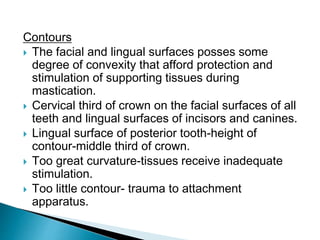 Contours
 The facial and lingual surfaces posses some
degree of convexity that afford protection and
stimulation of supporting tissues during
mastication.
 Cervical third of crown on the facial surfaces of all
teeth and lingual surfaces of incisors and canines.
 Lingual surface of posterior tooth-height of
contour-middle third of crown.
 Too great curvature-tissues receive inadequate
stimulation.
 Too little contour- trauma to attachment
apparatus.
 