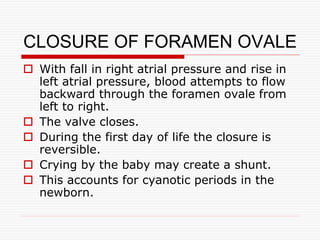 CLOSURE OF FORAMEN OVALE
 With fall in right atrial pressure and rise in
left atrial pressure, blood attempts to flow
backward through the foramen ovale from
left to right.
 The valve closes.
 During the first day of life the closure is
reversible.
 Crying by the baby may create a shunt.
 This accounts for cyanotic periods in the
newborn.
 