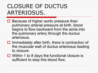 CLOSURE OF DUCTUS
ARTERIOSUS.
 Because of higher aortic pressure than
pulmonary arterial pressure at birth, blood
begins to flow backward from the aorta into
the pulmonary artery through the ductus
arteriosus.
 Immediately after birth, there is contraction of
the muscular wall of ductus arteriosus leading
to closure.
 Within 1 to 8 days the functional closure is
sufficient to stop this blood flow.
 