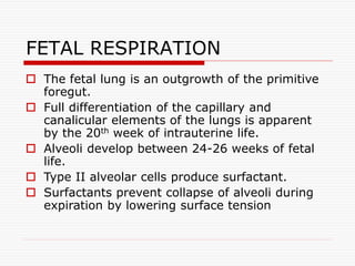 FETAL RESPIRATION
 The fetal lung is an outgrowth of the primitive
foregut.
 Full differentiation of the capillary and
canalicular elements of the lungs is apparent
by the 20th week of intrauterine life.
 Alveoli develop between 24-26 weeks of fetal
life.
 Type II alveolar cells produce surfactant.
 Surfactants prevent collapse of alveoli during
expiration by lowering surface tension
 