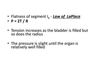 • Flatness of segment Ib - Law of LaPlace
• P = 2T / R
• Tension increases as the bladder is filled but
so does the radius
• The pressure is slight until the organ is
relatively well filled
 