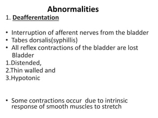 Abnormalities
1. Deafferentation
• Interruption of afferent nerves from the bladder
• Tabes dorsalis(syphillis)
• All reflex contractions of the bladder are lost
Bladder
1.Distended,
2.Thin walled and
3.Hypotonic
• Some contractions occur due to intrinsic
response of smooth muscles to stretch
 