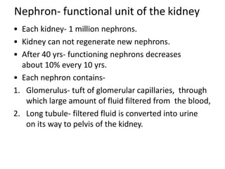 Nephron- functional unit of the kidney
• Each kidney- 1 million nephrons.
• Kidney can not regenerate new nephrons.
• Afte...