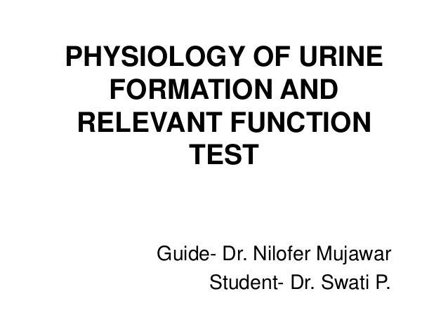 Physiology Of Urine Formation And Kidney Function Test Swati Mam