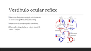Physiology of vestibular system | PPTX