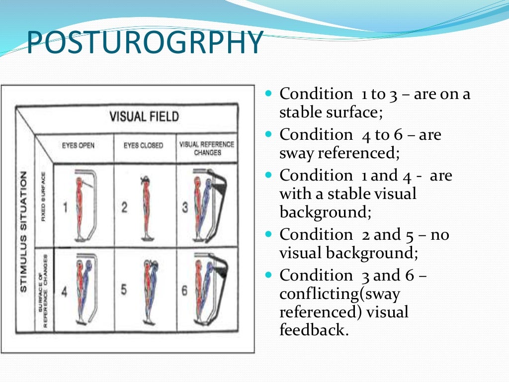 Anatomy & Physiology Of Vestibular System