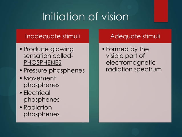 Physiology of vision | PPTX | Eye and Vision Conditions | Diseases and ...