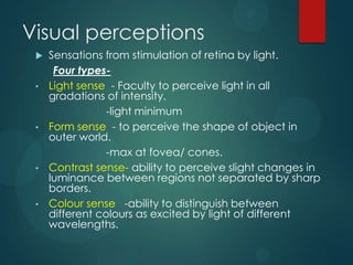 Physiology of vision | PPTX