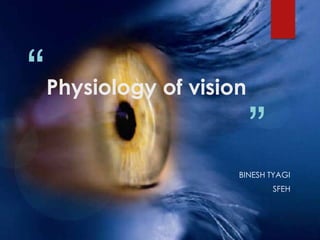 “   Physiology of vision

                           ”
                       BINESH TYAGI
                               SFEH
 