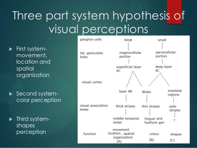 Physiology Of Sight In Flow Chart