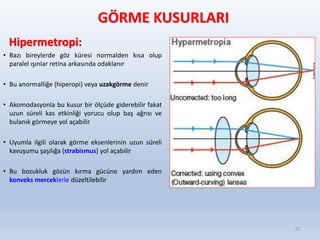 GÖRME KUSURLARI
Hipermetropi:
• Bazı bireylerde göz küresi normalden kısa olup
paralel ışınlar retina arkasında odaklanır
• Bu anormalliğe (hiperopi) veya uzakgörme denir
• Akomodasyonla bu kusur bir ölçüde giderebilir fakat
uzun süreli kas etkinliği yorucu olup baş ağrısı ve
bulanık görmeye yol açabilir
• Uyumla ilgili olarak görme eksenlerinin uzun süreli
kavuşumu şaşılığa (strabismus) yol açabilir
• Bu bozukluk gözün kırma gücüne yardım eden
konveks merceklerle düzeltilebilir
37
 