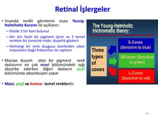 Retinal İşlergeler
• İnsanda renkli görmenin esası Young-
Helmholtz Kuramı ile açıklanır:
– Gözde 3 tür koni bulunur
– Her biri farklı bir pigment içerir ve 3 temel
renkten bir tanesine maks. duyarlık gösterir
– Herhangi bir renk duygusu konilerden çıkan
impulsların bağıl frekansları ile saptanır
• Maviye duyarlı olan bir pigment renk
skalasının en çok mavi bölümündeki ışığı
absorbe ederken diğeri skalanın yeşil
bölümünde absorbsiyon yapar
• Mavi, yeşil ve kırmızı temel renklerdir
69
 