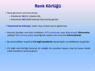 Renk Körlüğü
• Renk görmenin anormal olması:
– Erkeklerde %8 (12 erkekte bir),
– Kadınlarda %0.4 (200 kadında bir) oranda görülür
• Tritanomali ve tritanopi ender olup cinsiyet ayrımı göstermez
• Bununla beraber renk körü erkeklerin %2’si protanopi veya döteranopili dikromatlar,
yaklaşık %6’sı kırmızı-yeşile duyarlığında azalma olan anormal trikromatlardır
• Bu anormallikler resesif ve X’e bağlı karakterler olarak katılır ve erkeklerde sık görülür
• X’e bağlı renk körlüğü bulunan bir erkeğin kız çocukları taşıyıcı olup bu kusuru kendi
erkek çocukların yarısına geçirir
74
 