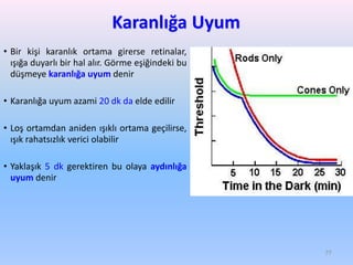 Karanlığa Uyum
• Bir kişi karanlık ortama girerse retinalar,
ışığa duyarlı bir hal alır. Görme eşiğindeki bu
düşmeye karanlığa uyum denir
• Karanlığa uyum azami 20 dk da elde edilir
• Loş ortamdan aniden ışıklı ortama geçilirse,
ışık rahatsızlık verici olabilir
• Yaklaşık 5 dk gerektiren bu olaya aydınlığa
uyum denir
77
 