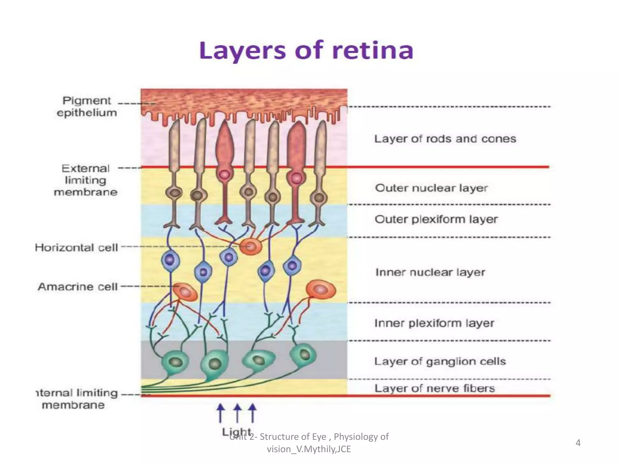 4
Unit 2- Structure of Eye , Physiology of
vision_V.Mythily,JCE
 