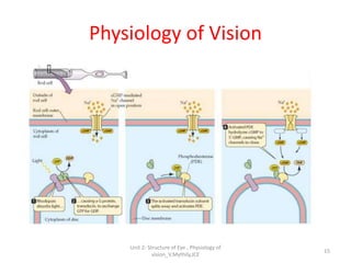 Physiology of Vision
15
Unit 2- Structure of Eye , Physiology of
vision_V.Mythily,JCE
 
