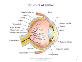 2
Unit 2- Structure of Eye , Physiology of
vision_V.Mythily,JCE
 