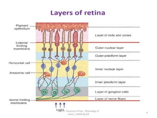 4
Unit 2- Structure of Eye , Physiology of
vision_V.Mythily,JCE
 