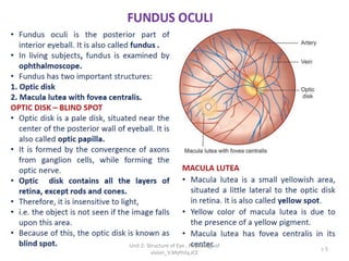 5
Unit 2- Structure of Eye , Physiology of
vision_V.Mythily,JCE
 