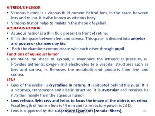 7
Unit 2- Structure of Eye , Physiology of
vision_V.Mythily,JCE
 