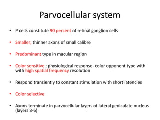 Physiology of Vision (1).ppt