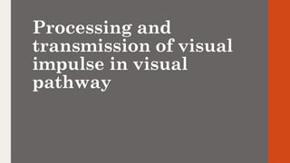 Processing and
transmission of visual
impulse in visual
pathway
 