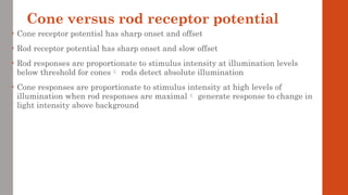 Cone versus rod receptor potential
• Cone receptor potentisl has sharp onset and offset
• Rod receptor potential has sharp onset and slow offset
• Rod responses are proportionate to stimulus intensity at illumination levels
below threshold for cones rods detect absolute illumination
• Cone responses are proportionate to stimulus intensity at high levels of
illumination when rod responses are maximal generate response to change in
light intensity above background
 