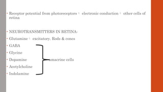• Receptor potential from photoreceptors electronic conduction other cells of
retina
• NEUROTRANSMITTERS IN RETINA-
• Glutamine excitatory. Rods & cones
• GABA
• Glycine
• Dopamine amacrine cells
• Acetylcholine
• Indolamine
 