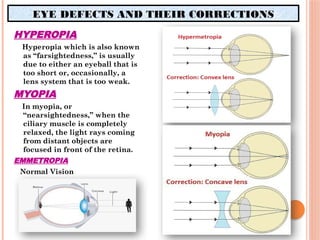 physiology of vision by Manupriya Bharti M.Sc. I year.pptx