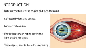 PHYSIOLOGY OF VISION ophthalmology post graduate | PDF