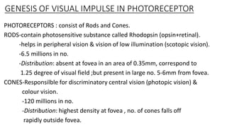 PHYSIOLOGY OF VISION ophthalmology post graduate | PDF
