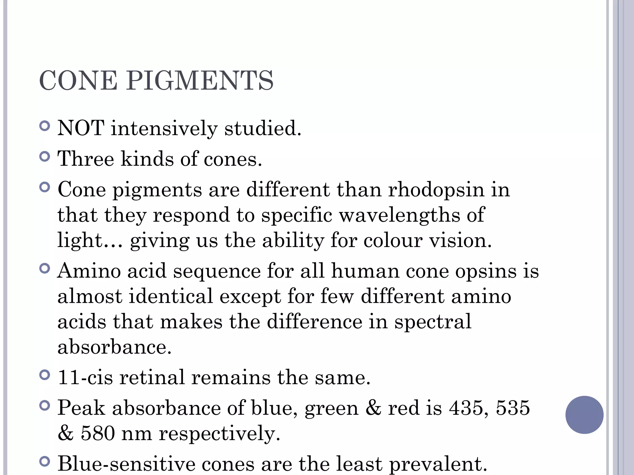 CONE PIGMENTS
 NOT intensively studied.
 Three kinds of cones.
 Cone pigments are different than rhodopsin in
that they respond to specific wavelengths of
light… giving us the ability for colour vision.
 Amino acid sequence for all human cone opsins is
almost identical except for few different amino
acids that makes the difference in spectral
absorbance.
 11-cis retinal remains the same.
 Peak absorbance of blue, green & red is 435, 535
& 580 nm respectively.
 Blue-sensitive cones are the least prevalent.
 