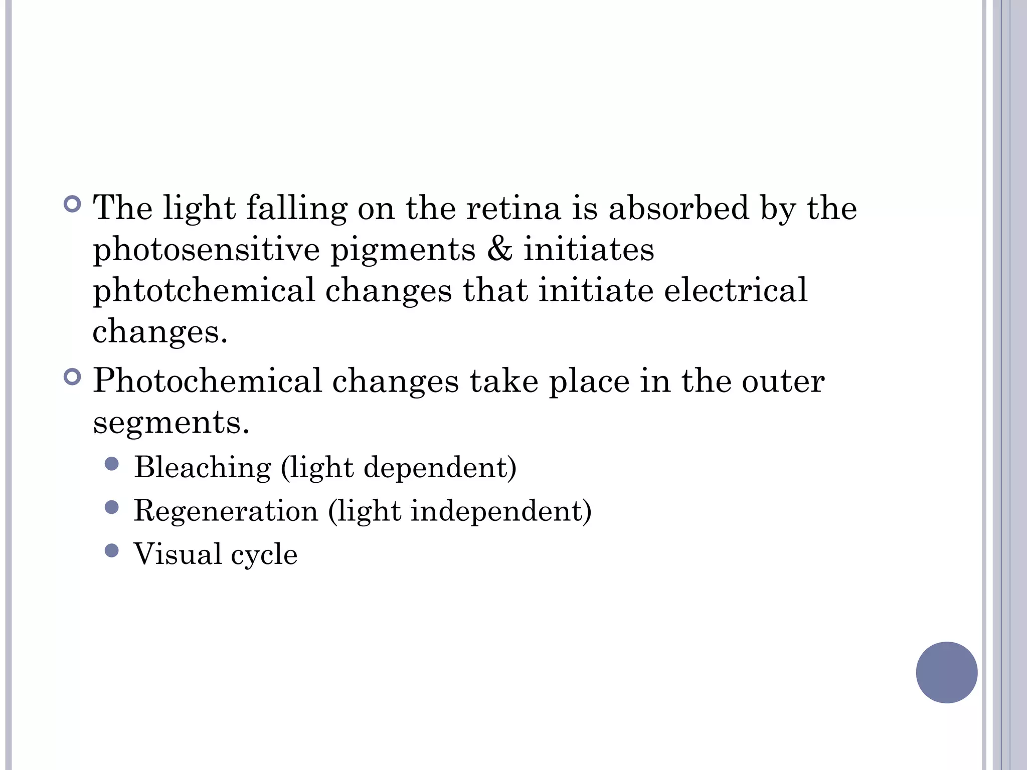  The light falling on the retina is absorbed by the
photosensitive pigments & initiates
phtotchemical changes that initiate electrical
changes.
 Photochemical changes take place in the outer
segments.
 Bleaching (light dependent)
 Regeneration (light independent)
 Visual cycle
 