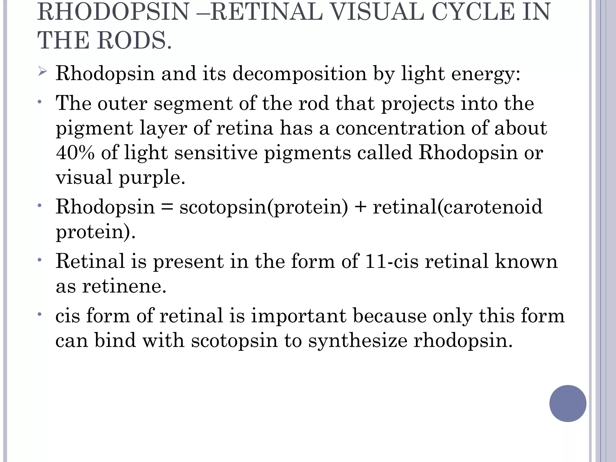 RHODOPSIN –RETINAL VISUAL CYCLE IN
THE RODS.
 Rhodopsin and its decomposition by light energy:
• The outer segment of the rod that projects into the
pigment layer of retina has a concentration of about
40% of light sensitive pigments called Rhodopsin or
visual purple.
• Rhodopsin = scotopsin(protein) + retinal(carotenoid
protein).
• Retinal is present in the form of 11-cis retinal known
as retinene.
• cis form of retinal is important because only this form
can bind with scotopsin to synthesize rhodopsin.
 