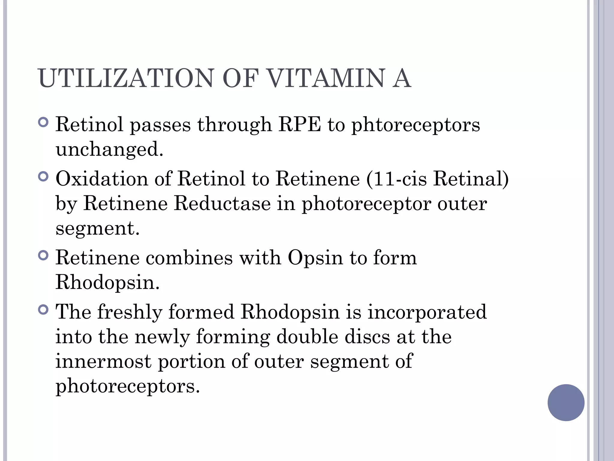 UTILIZATION OF VITAMIN A
 Retinol passes through RPE to phtoreceptors
unchanged.
 Oxidation of Retinol to Retinene (11-cis Retinal)
by Retinene Reductase in photoreceptor outer
segment.
 Retinene combines with Opsin to form
Rhodopsin.
 The freshly formed Rhodopsin is incorporated
into the newly forming double discs at the
innermost portion of outer segment of
photoreceptors.
 