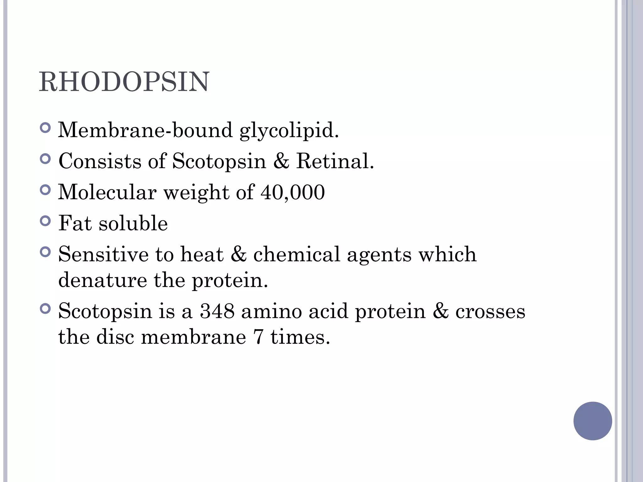 RHODOPSIN
 Membrane-bound glycolipid.
 Consists of Scotopsin & Retinal.
 Molecular weight of 40,000
 Fat soluble
 Sensitive to heat & chemical agents which
denature the protein.
 Scotopsin is a 348 amino acid protein & crosses
the disc membrane 7 times.
 