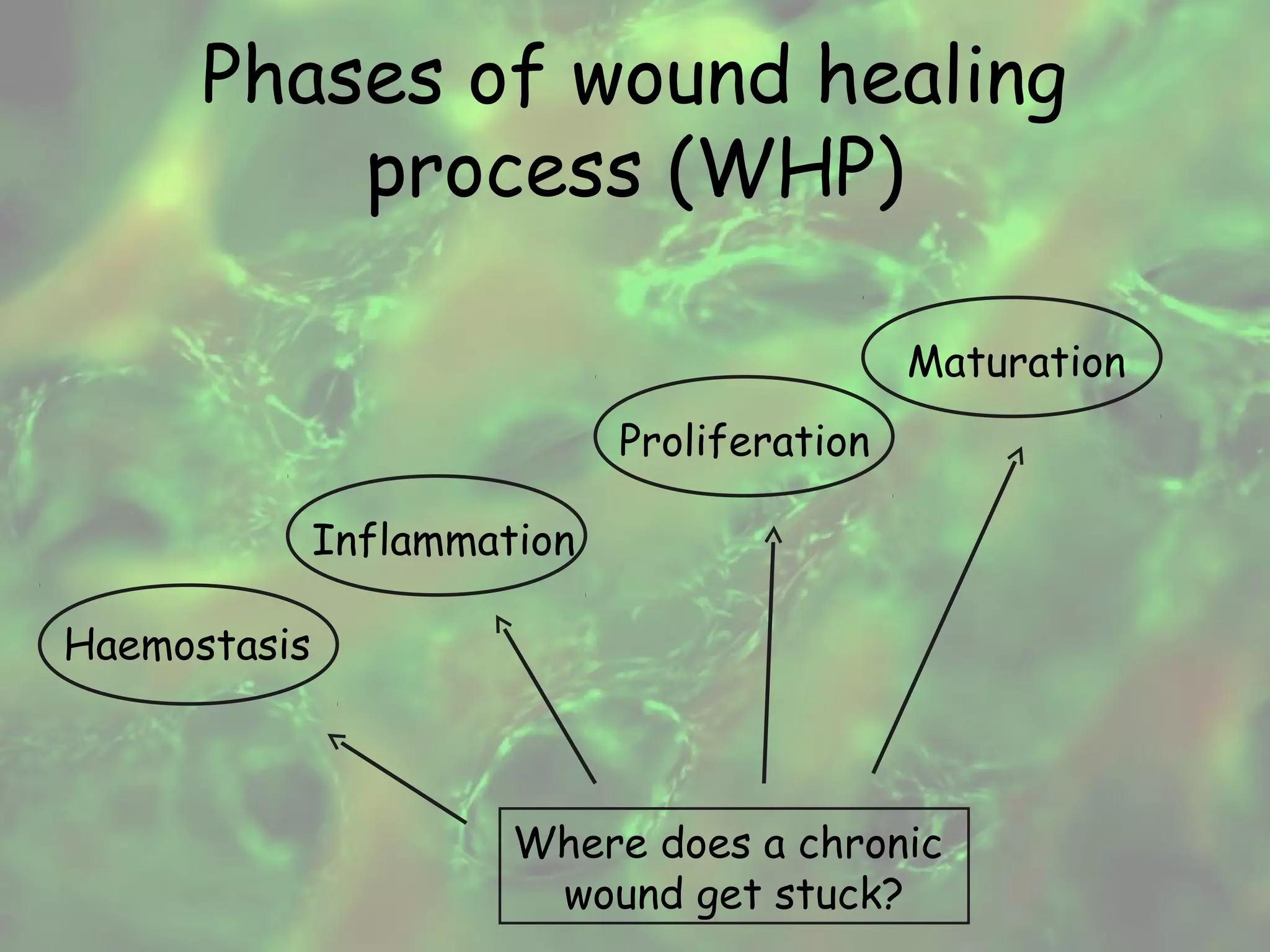 Physiology of wound healing | PPT
