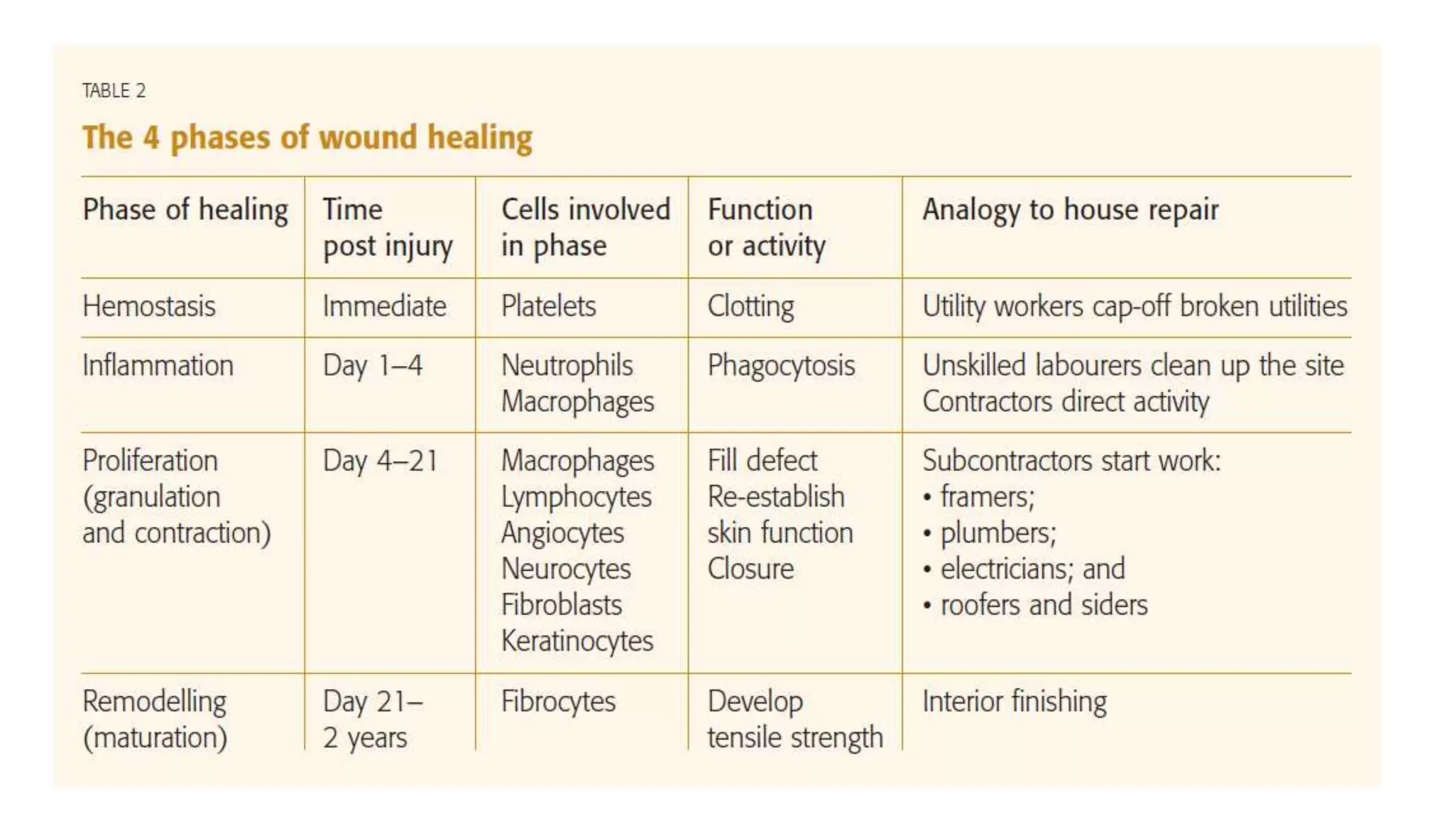 Physiology of wound healing | PPTX