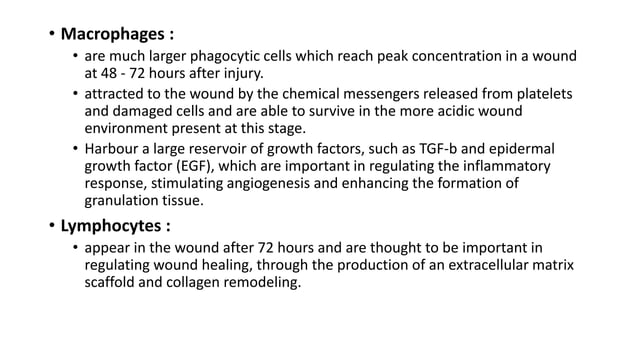 Physiology of wound healing | PPTX | Chemistry | Science