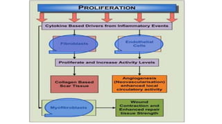 Physiology of wound healing | PPTX