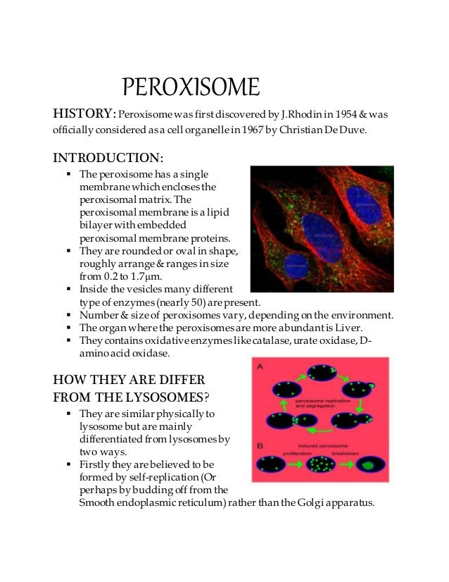 introduction to human physiology lauralee sherwood pdf
