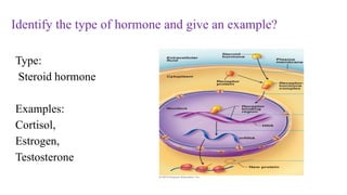 Type:
Steroid hormone
Examples:
Cortisol,
Estrogen,
Testosterone
Identify the type of hormone and give an example?
 